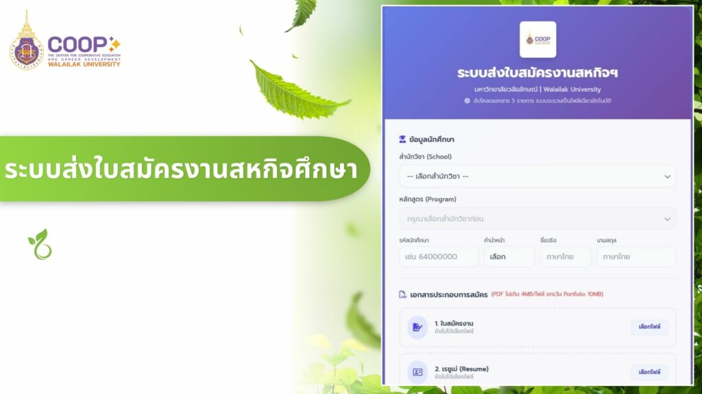 5ส กรีน